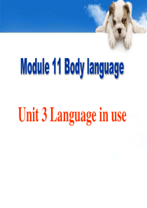 《Language in use》Body language PPT课件