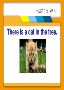 《There is a cat in the tree》PPT课件9