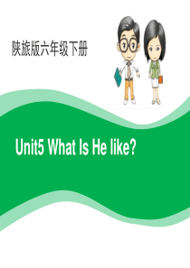 《What Is He Like》PPT9