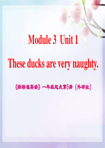 《These ducks are very naughty!》PPT课件9