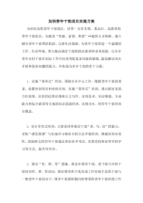 加快青年干部成长实施方案