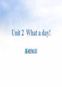 《What a day!》基础知识PPT