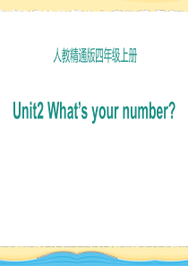 《Whats your number》PPT课件98