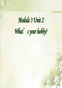 《Whats your hobby》PPT课件9