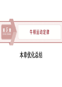 《本章优化总结》牛顿运动定律PPT