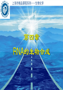 RNA的生物合成