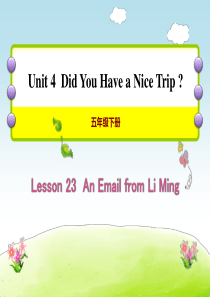 《An Email from Li Ming》Did You Have a Nice Trip PP