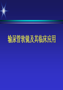 输尿管软镜及其应用ppt课件