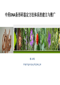 陈士林——中药DNA条形码鉴定方法体系的建立与推广