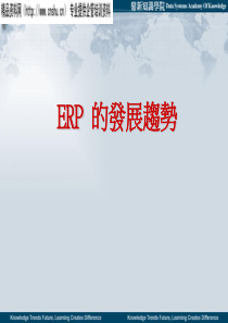 erp_的发展趋势