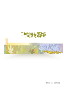 甲醇制氢专题讲座43页PPT