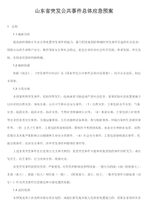 山东省突发公共事件总体应急预案