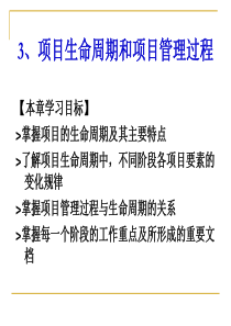 3项目生命周期和项目管理过程