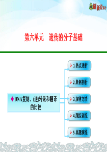 【精品】2-2-6-DNA复制、(逆)转录和翻译的比较.ppt