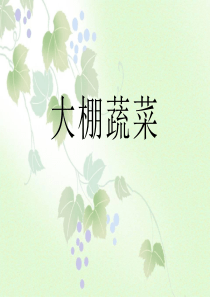 《大棚蔬菜》农田PPT课件9