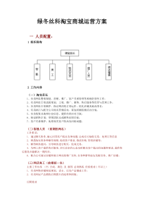 企业淘宝商城运营方案