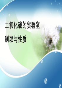 《二氧化碳的实验室制取与性质》PPT课件