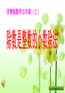 《除数是整数的小数除法》小数乘法和除法PPT课件