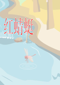 《红蜻蜓》PPT课件