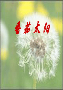 《番茄太阳》PPT课件