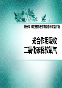 《光合作用吸收二氧化碳释放氧气》绿色植物与生物圈中碳-氧平衡PPT课件79