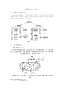 细胞呼吸知识点复习及答案