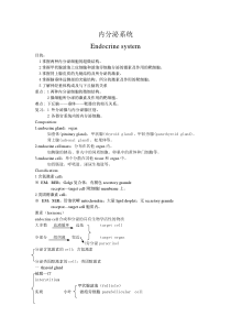 内分泌系统.doc