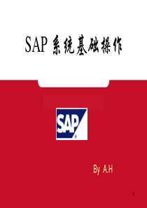 SAP-基础操作通用手册