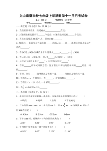 云南省文山市南鹰学校2013年11月七年级上月考数学试卷