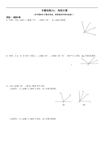 2017年秋人教版七年级数学上章末复习专题训练(九)角的计算