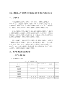 河北晟昊股份有限公司资产负债表及利润表分析