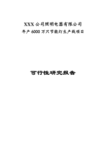 6000万支节能灯项目可研报告