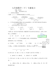 七年级数学(下)专题复习试卷