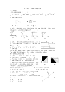 2013年初一数学下学期期末模拟试题(C)