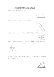 2013年七年级数学下册期末综合练习试卷