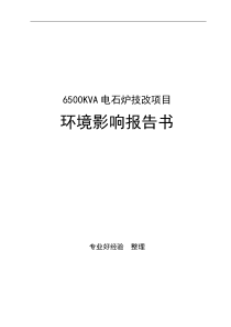 6500KVA电石炉技改项目环境影响报告书