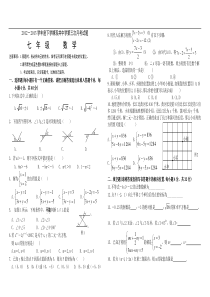 郸市魏县双井中学2012-2013年七年级下第三次月考数学试题
