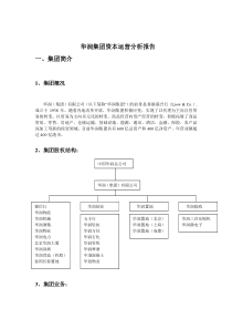 华润集团资本运营分析报告3