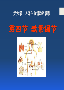 《激素调节》人体生命活动的调节PPT课件