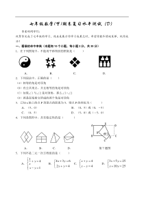 七年级数学(下)期末复习水平测试（D）