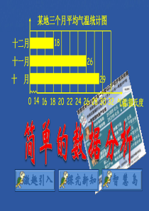 《简单的数据分析》简单的统计活动PPT课件