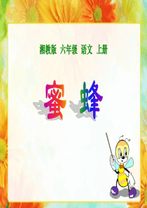 《蜜蜂》PPT课件9