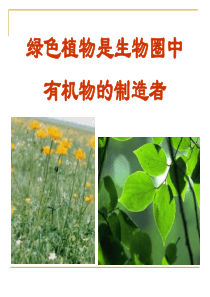 《绿色植物是生物圈中有机物的制造者》PPT课件8