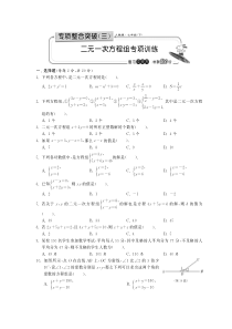 二元一次方程组专项训练·数学人教版 七下