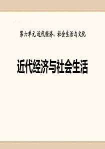 《近代经济与社会生活》近代经济、社会生活与文化PPT课件5