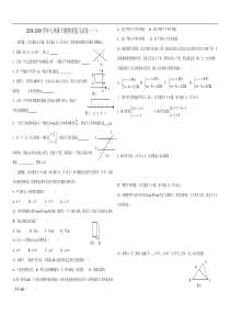 2008-2009学年七年级下册期末复习试卷（一）