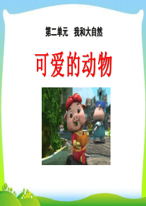 《可爱的动物》PPT