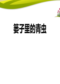 《篓里的青虫》PPT