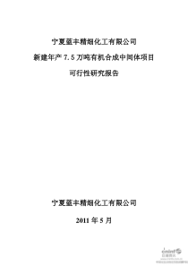 75万吨有机合成中间体项目可行性研究报告