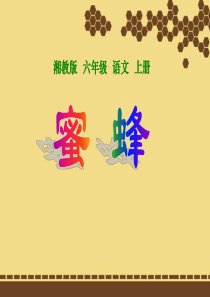 《蜜蜂》PPT课件